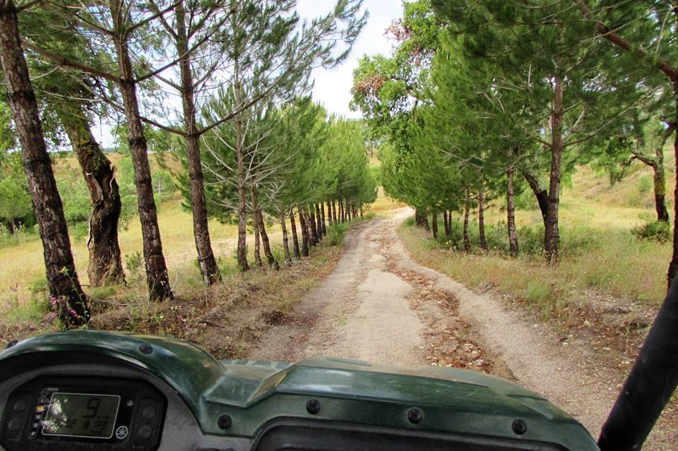Affittacamere Monte Da Tojeirinha Montargil Esterno foto