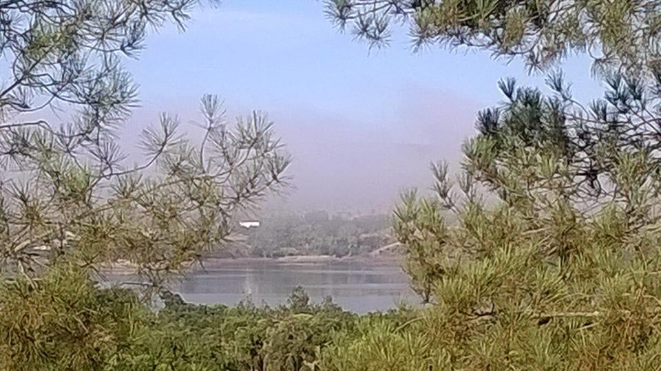 Affittacamere Monte Da Tojeirinha Montargil Esterno foto