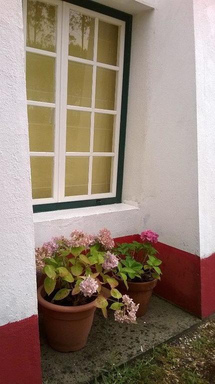 Affittacamere Monte Da Tojeirinha Montargil Esterno foto